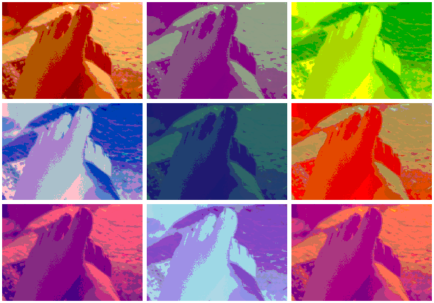 11528537263217.gif